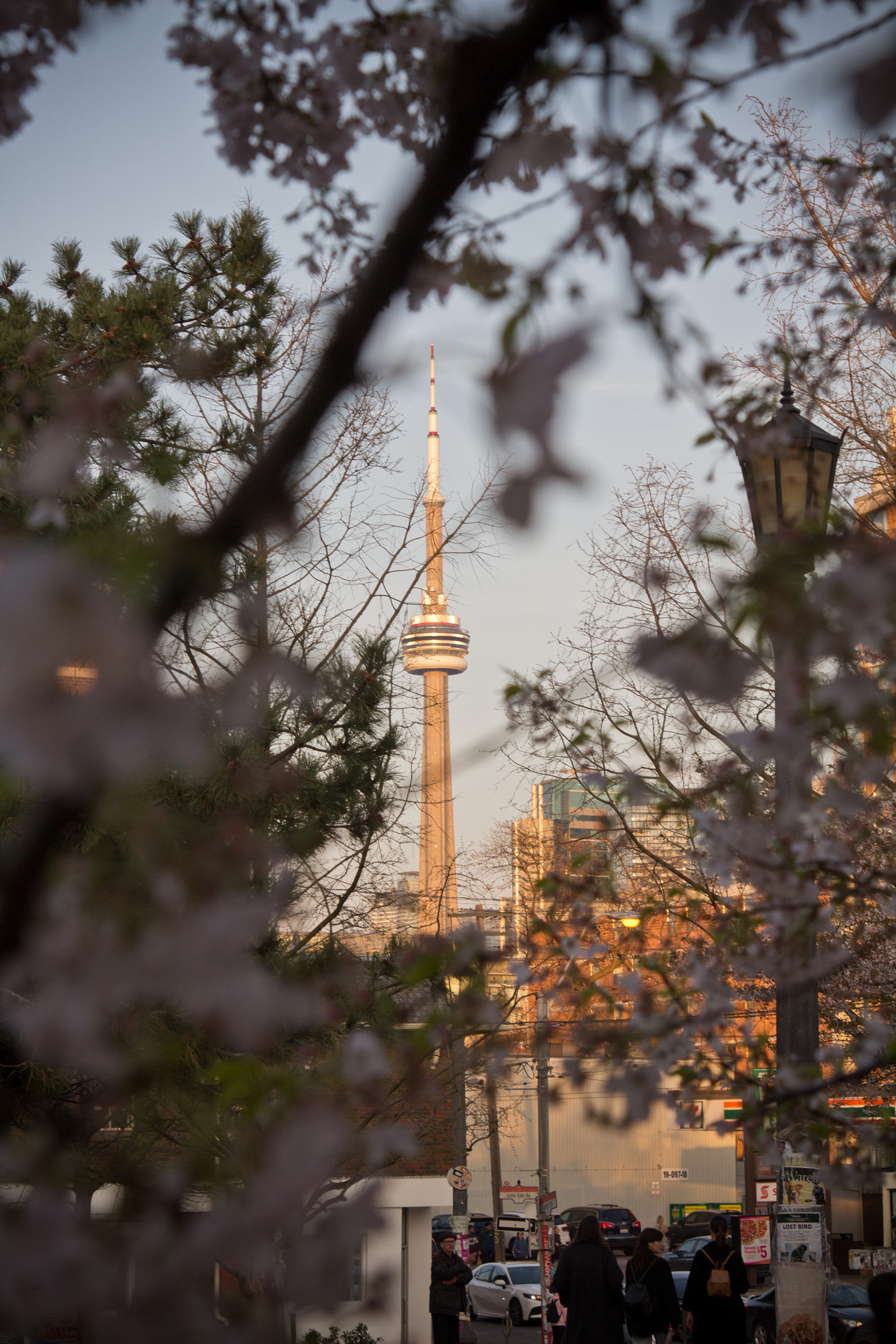 Best Toronto Neighborhoods to Visit