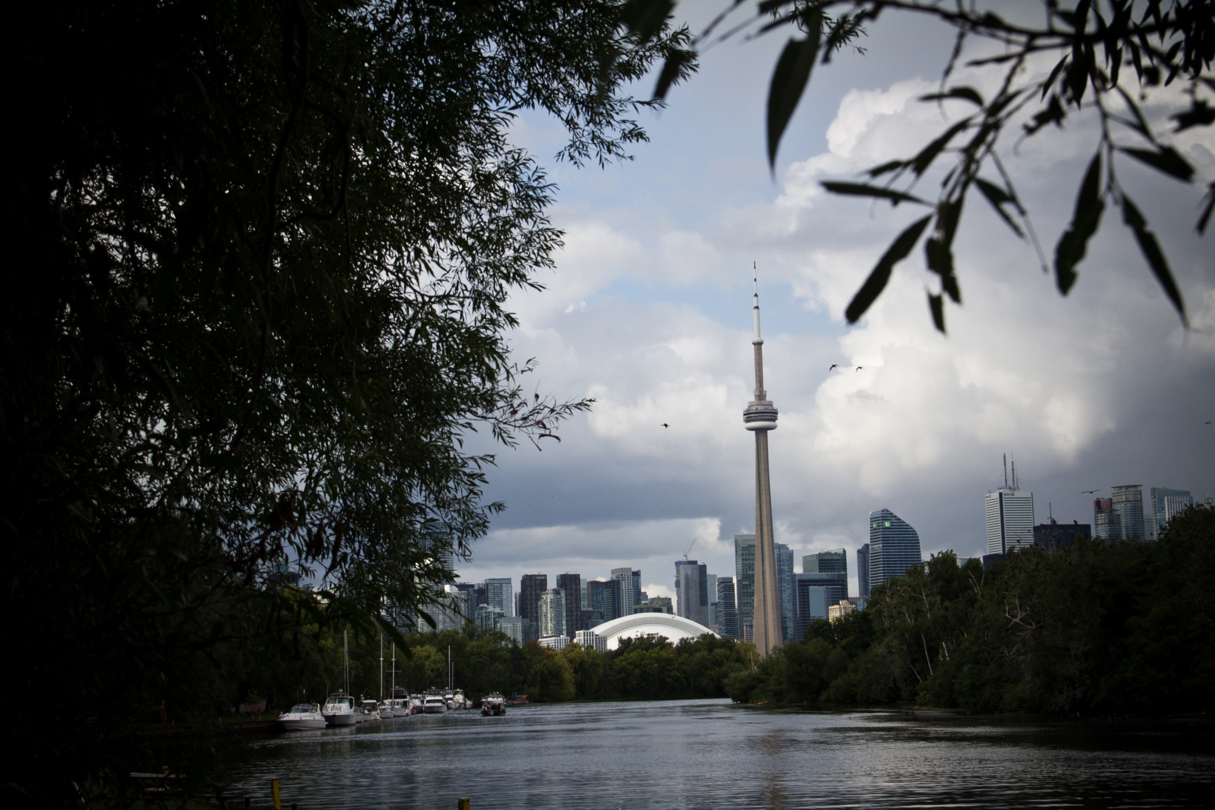 The Complete Guide to the Toronto Islands