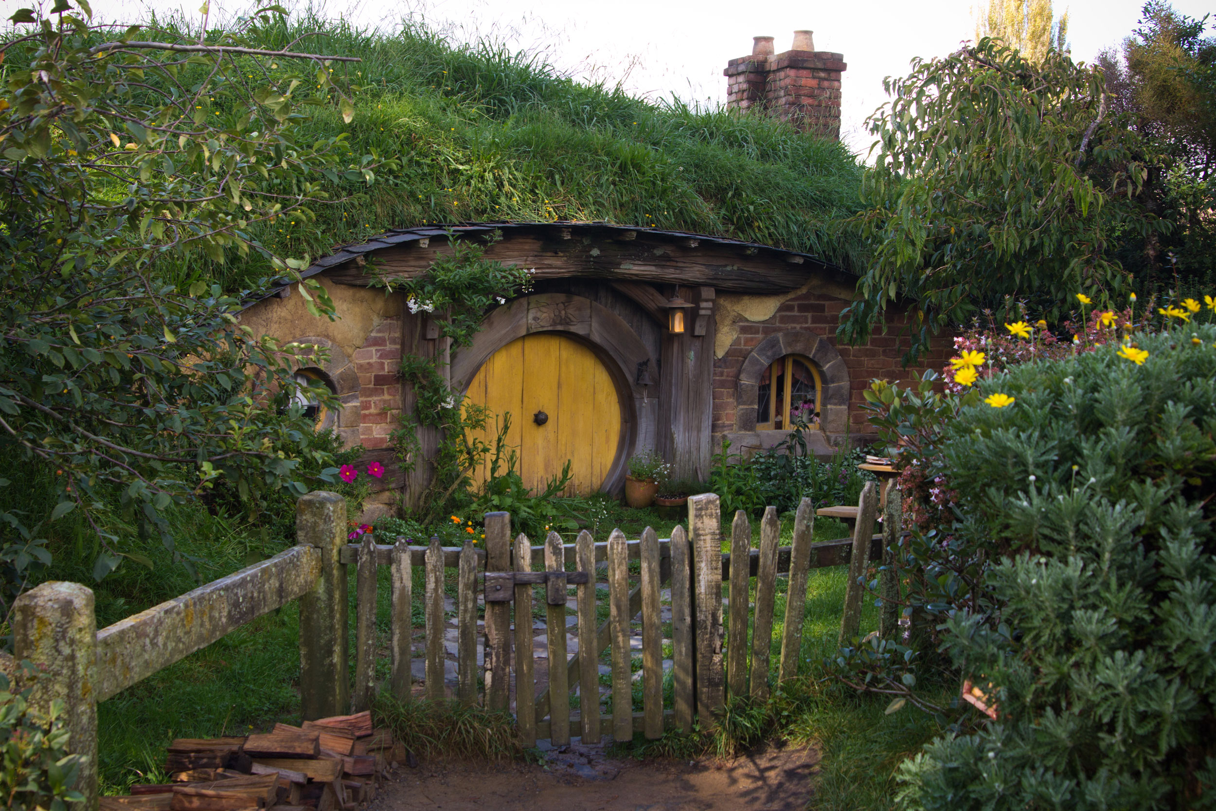 How to Visit Hobbiton and Waitomo Glowworm Caves