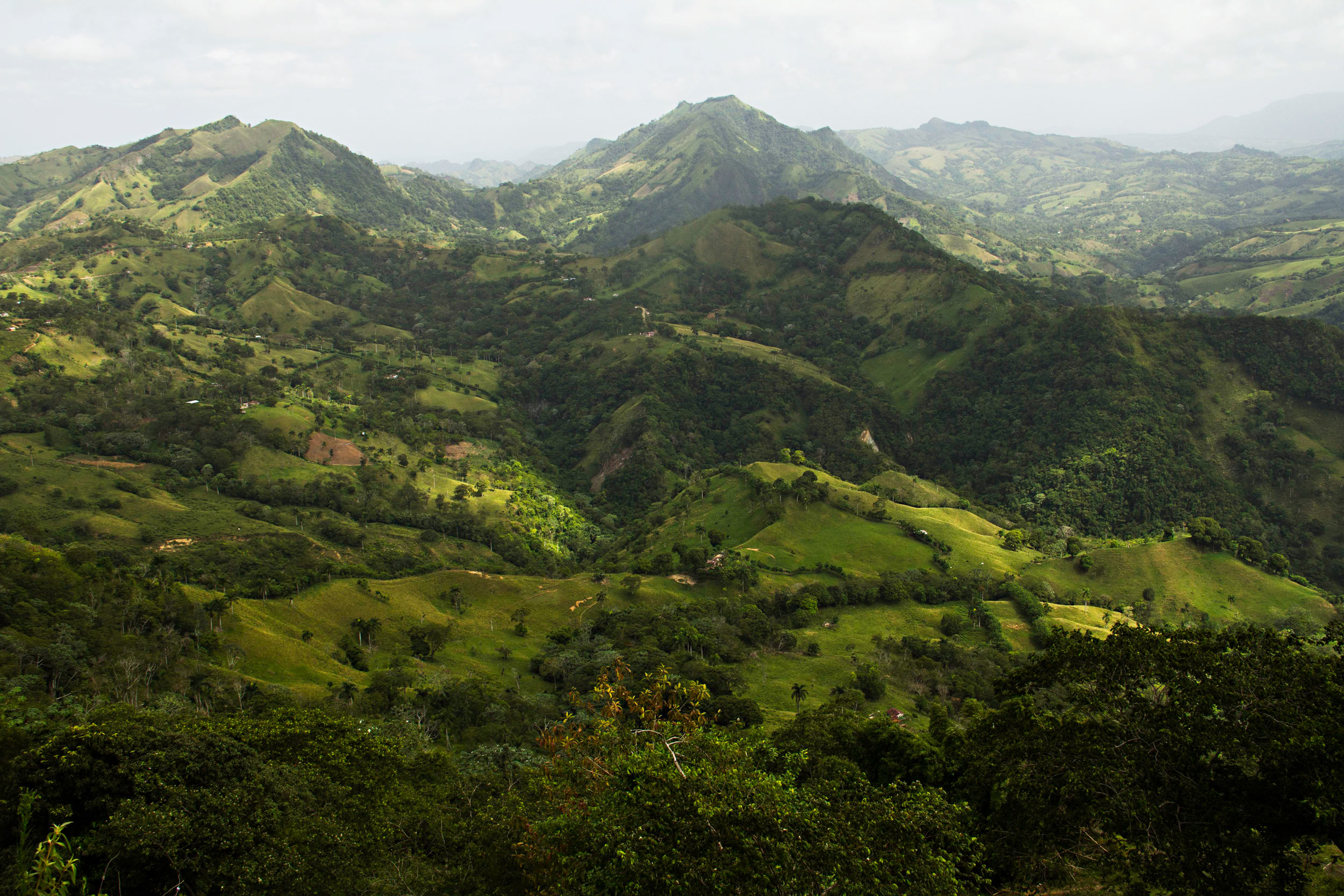 The Beginner’s Guide to the Dominican Republic