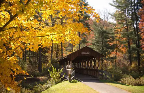 The Best Fall Things to do in Western New York